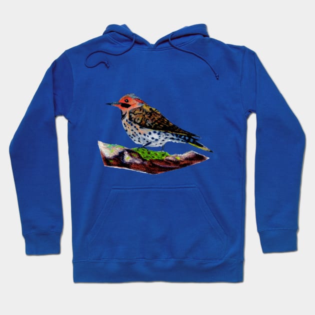 Northern Flicker Hoodie by Animal Surrealism